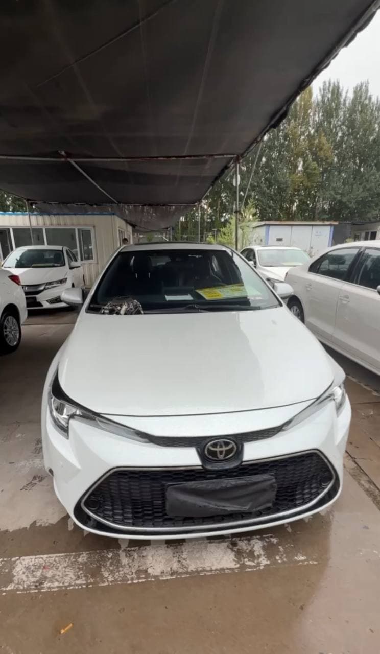 Toyota Levin 2020 г.