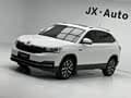 Skoda Kamiq 2022