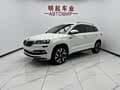 Skoda Karoq 2022